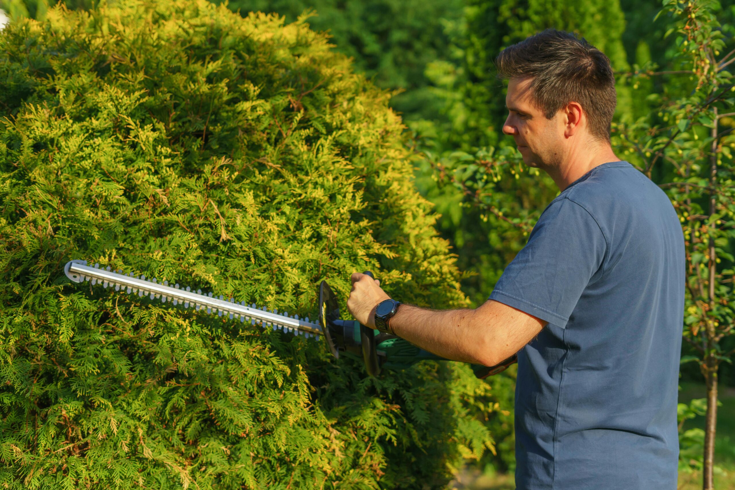 Wie kalibriere ich den Neigungssensor meiner Stihl HSA 56 Heckenschere?